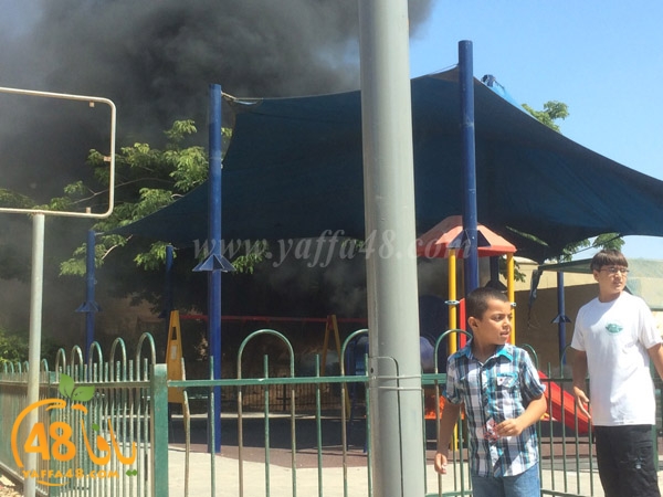 firealn jaami (9).jpg